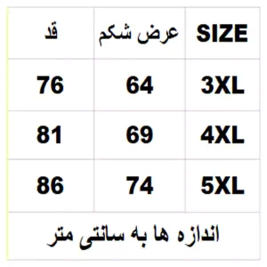 جدول سایز تیشرت و شلوارک AMIRI